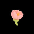 Flower D13 Miniature