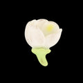 Flower D18 Miniature