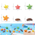6Pcs Sea Ccucumbers & Colourful Sea Star