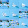 5Pcs White Swan Miniature