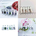 Milk Bottle Drink Miniature