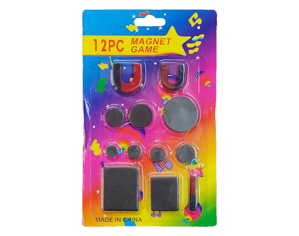 12Pcs Mix Magnet