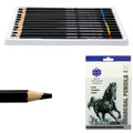 12 Pc Charcoal Pencil Set