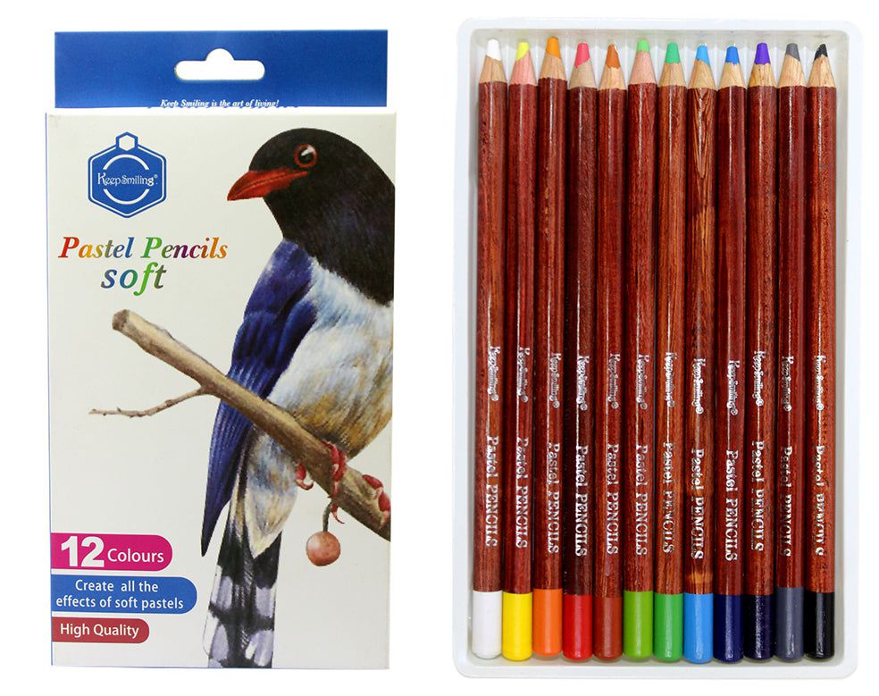 12 In 1 Pastel Pencils Set