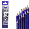 14 Pc Special Drawing Pencil
