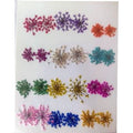 24 In 1 Multy Pressed Dry Flower
