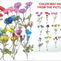 12 In 1 Multi Rose Pressed Flower
