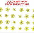 Yellow Plum Blossom Pressed Flower