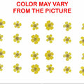 G.Yellow Plum Blossom Pressed Flower