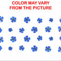D.Blue Plum Blossom Pressed Flower