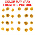 Mini Golden Yellow Dried Sun Flower
