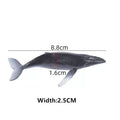 Blue Whale