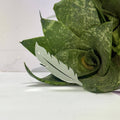 Fancy Silver Feather Acrylic Mirror