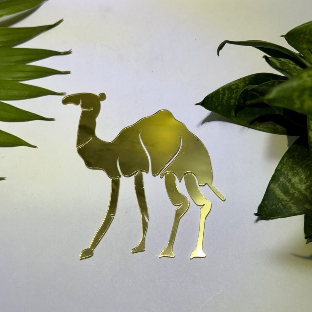 Left Camel Fancy Acrylic Mirror