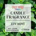 Luv Mint Candle Fragrance