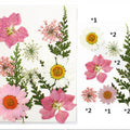 10 In 1 Pressed Flowers Fl001