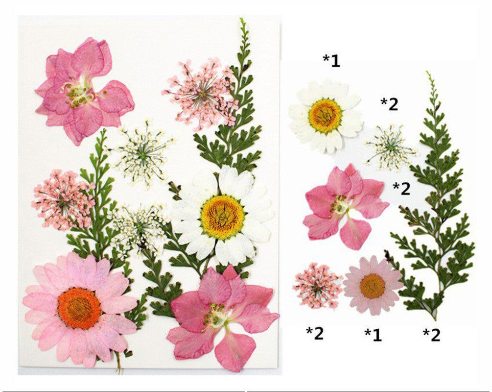 10 In 1 Pressed Flowers Fl001