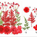 10 In 1 Pressed Flowers Fl002