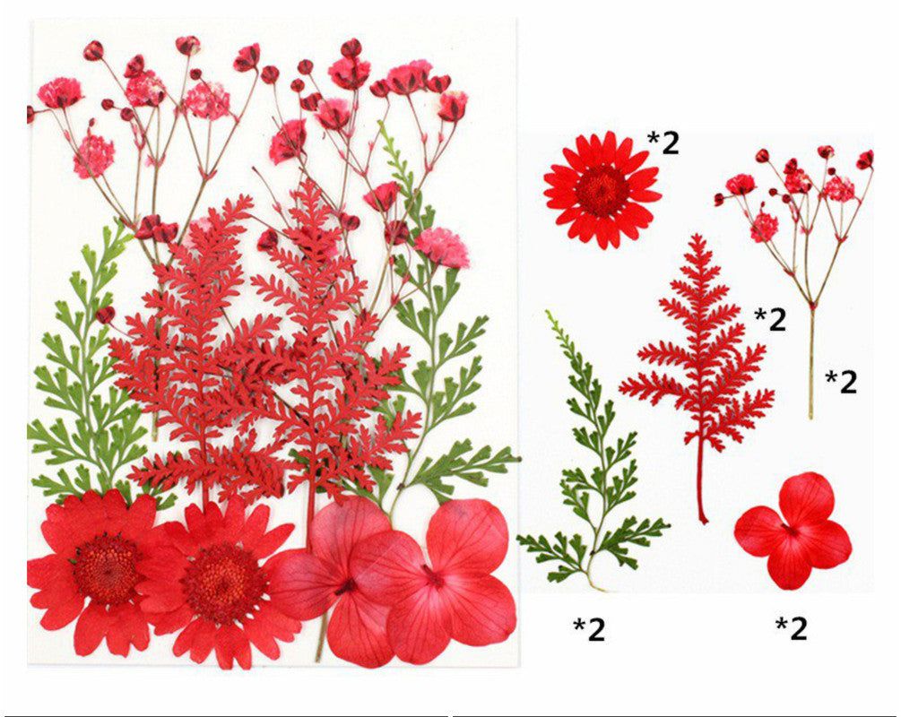 10 In 1 Pressed Flowers Fl002