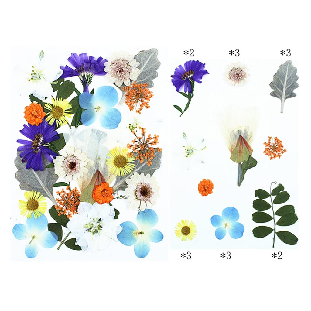 25 In 1 Pressed Flowers FL005