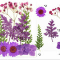 10 In 1 Pressed Flowers Fl006