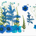10 In 1 Pressed Flowers Fl007