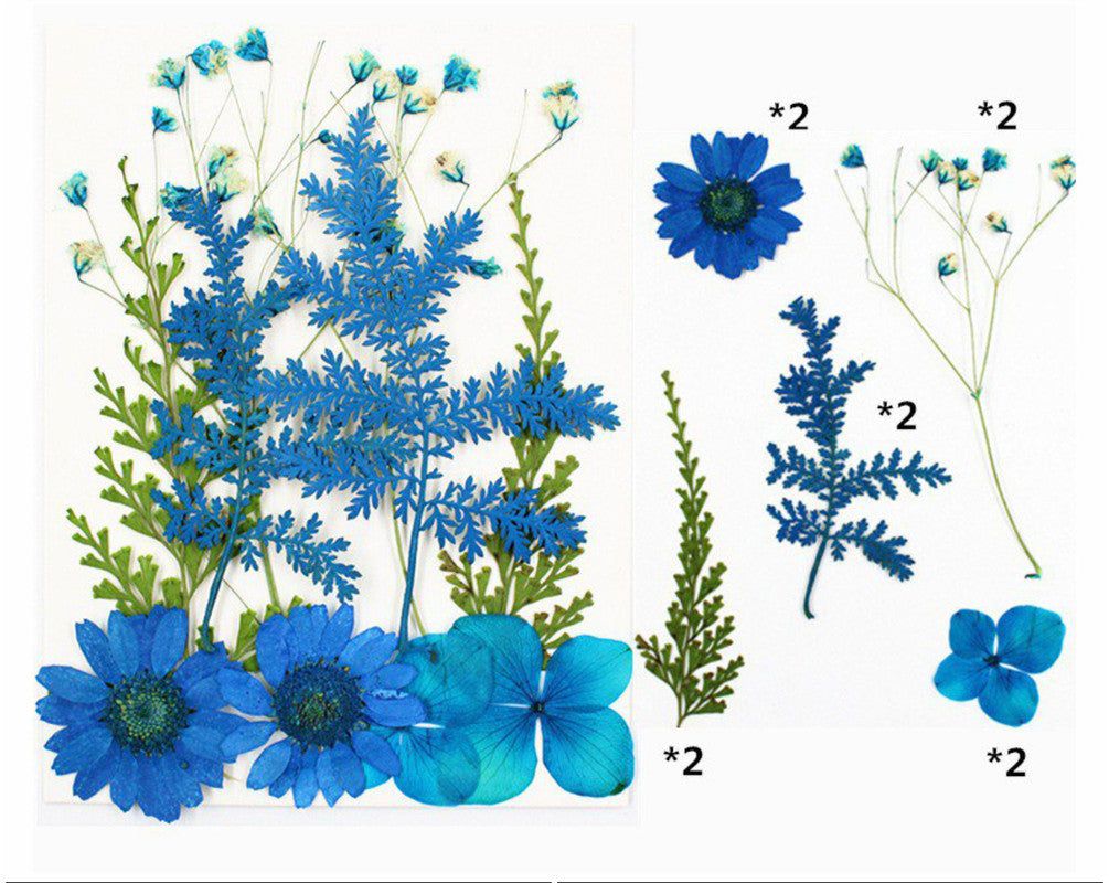 10 In 1 Pressed Flowers Fl007