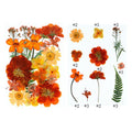 25 In 1 Pressed Flowers FL008