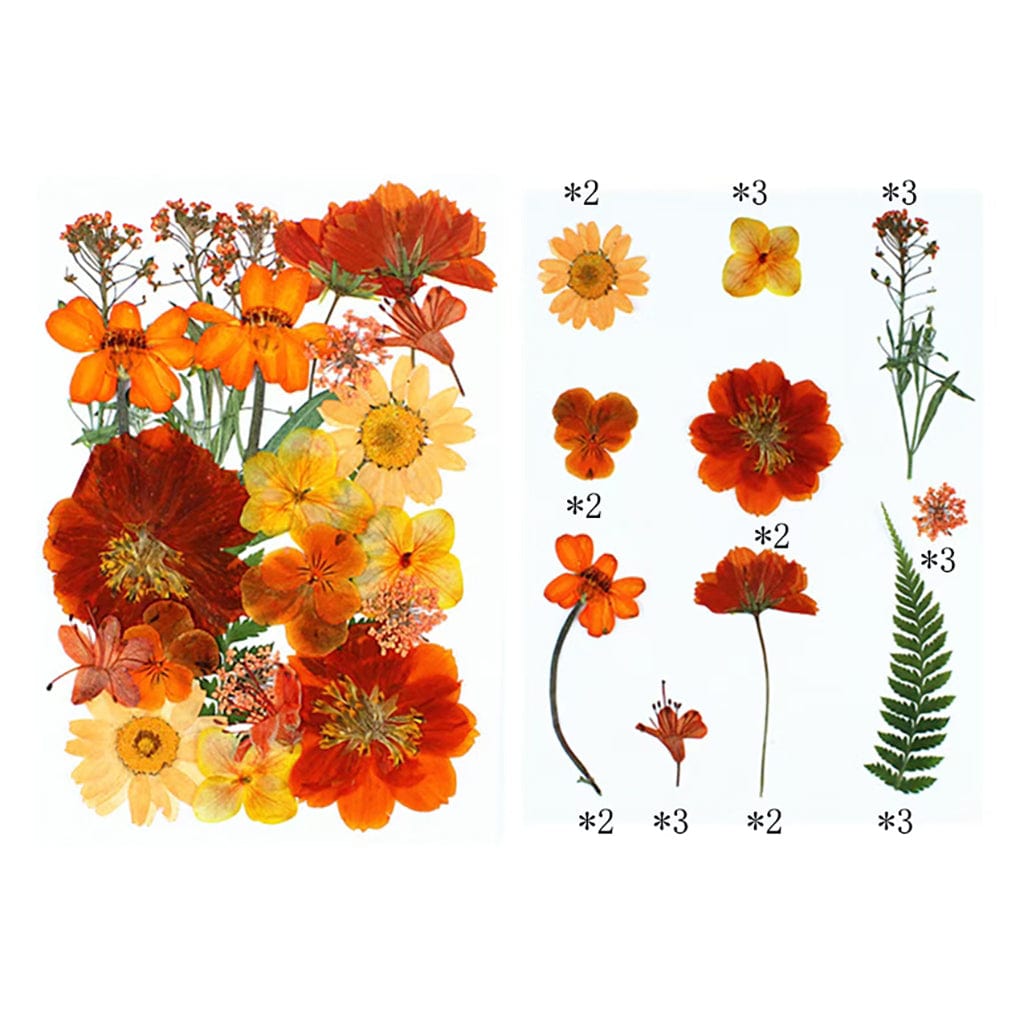 25 In 1 Pressed Flowers FL008