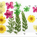 10 In 1 Pressed Flowers Fl009