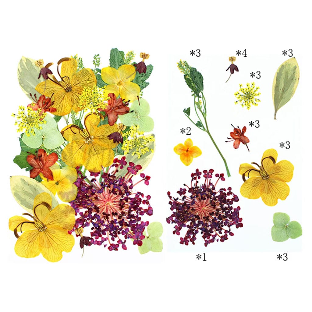 25 In 1 Pressed Flowers FL010