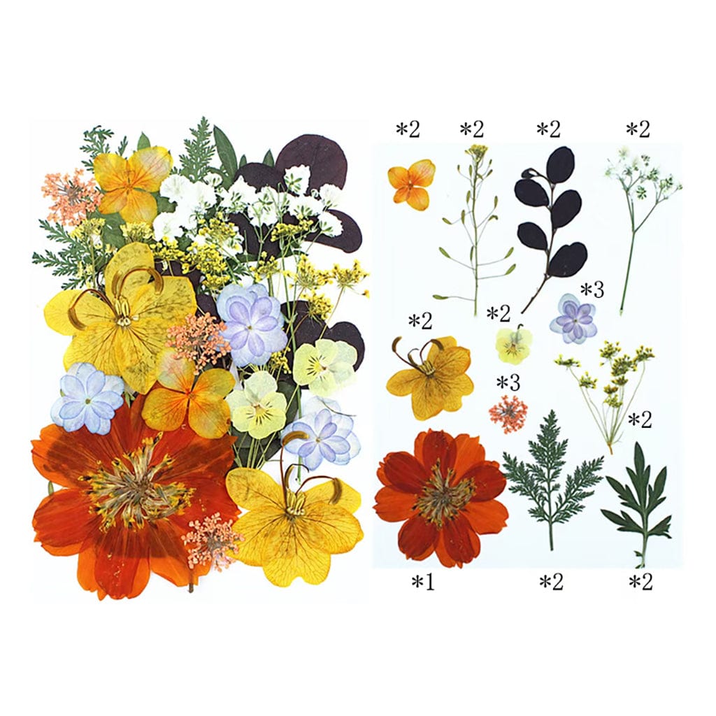 25 In 1 Pressed Flowers FL011