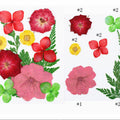 11 In 1 Pressed Flowers Fl012