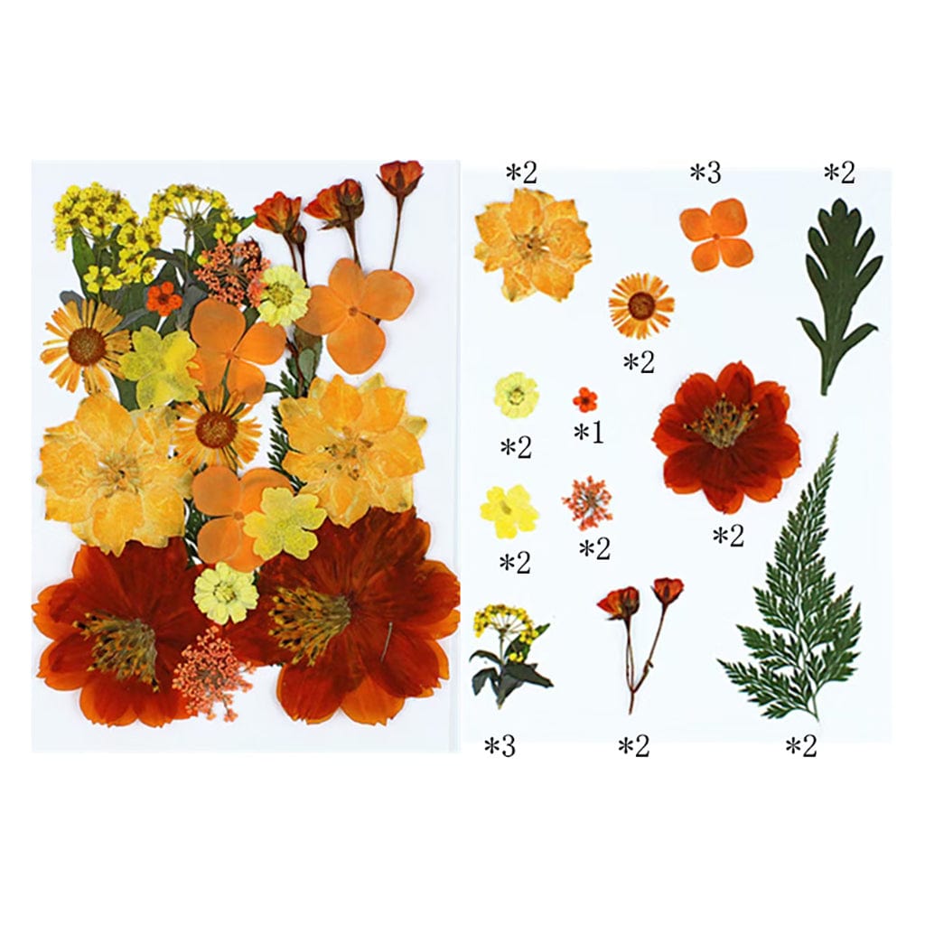 25 In 1 Pressed Flowers FL014