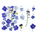 20 In 1 Pressed Flowers FL015