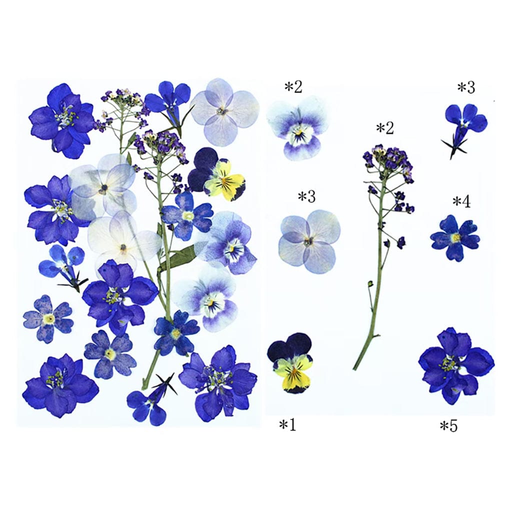 20 In 1 Pressed Flowers FL015