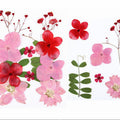 12 In 1 Pressed Flowers Fl017