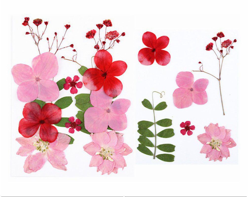 12 In 1 Pressed Flowers Fl017
