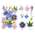 20 In 1 Pressed Flowers FL018