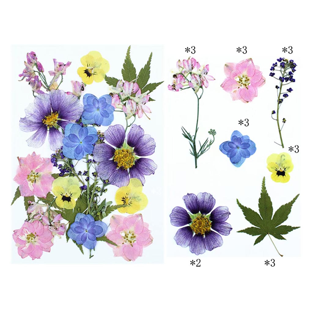 20 In 1 Pressed Flowers FL018