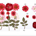 12 In 1 Pressed Flowers Fl019