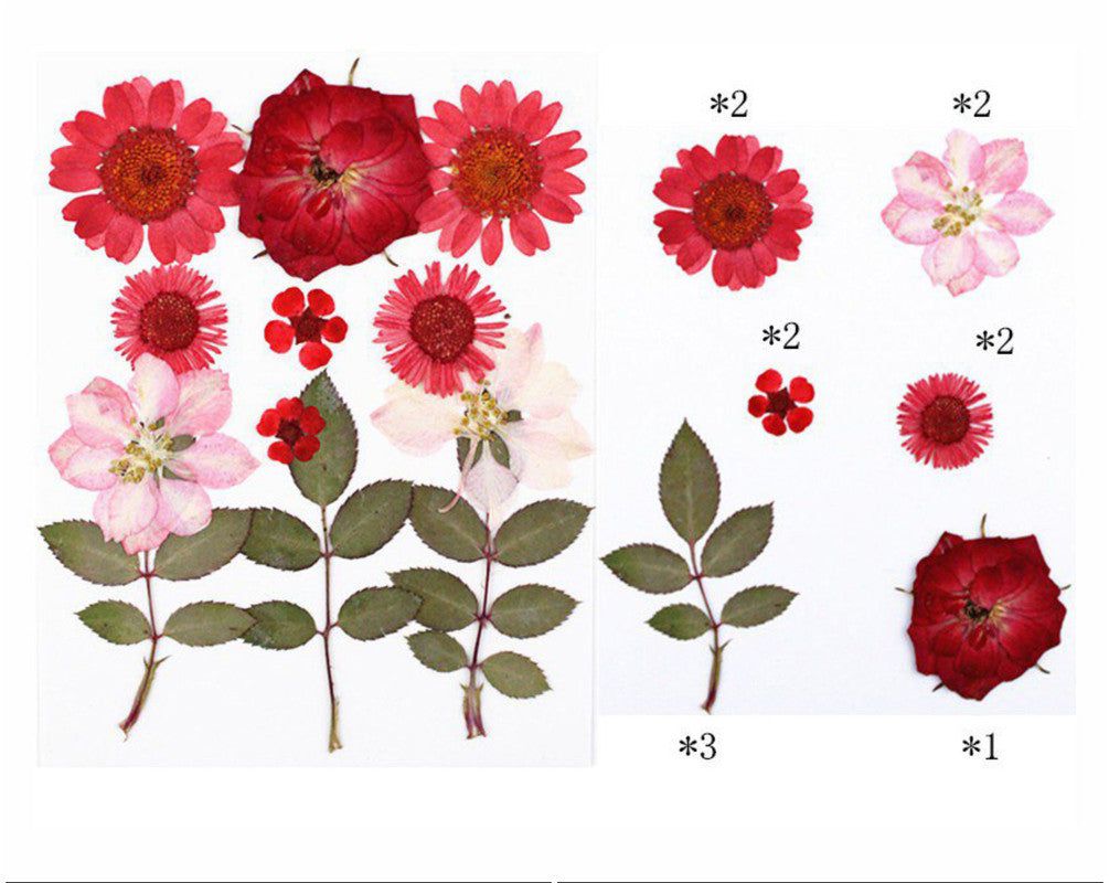 12 In 1 Pressed Flowers Fl019
