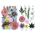 25 In 1 Pressed Flowers FL020