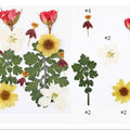 12 In 1 Pressed Flowers Fl021