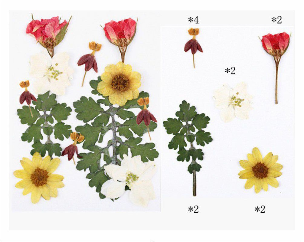 12 In 1 Pressed Flowers Fl021