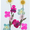 10 In 1 Pressed Flowers Fl022