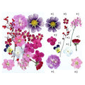 20 In 1 Pressed Flowers FL023