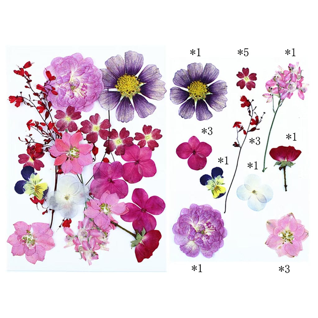 20 In 1 Pressed Flowers FL023
