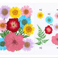 12 In 1 Pressed Flowers Fl024