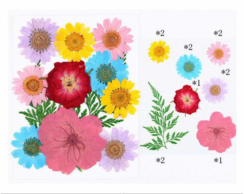 12 In 1 Pressed Flowers Fl024